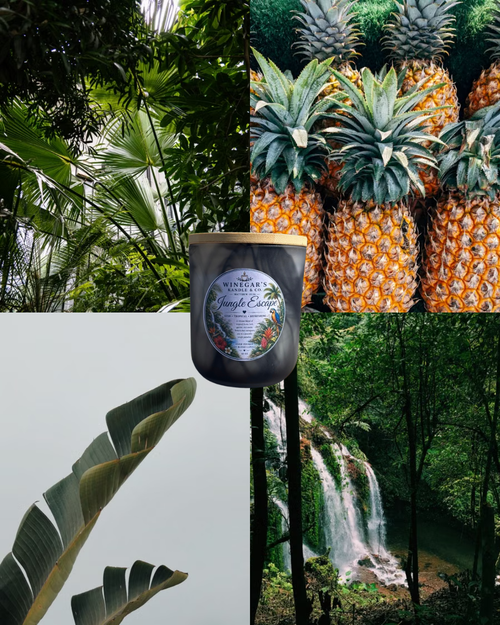Jungle Escape 🌴 — Hand Poured Soy Kandle