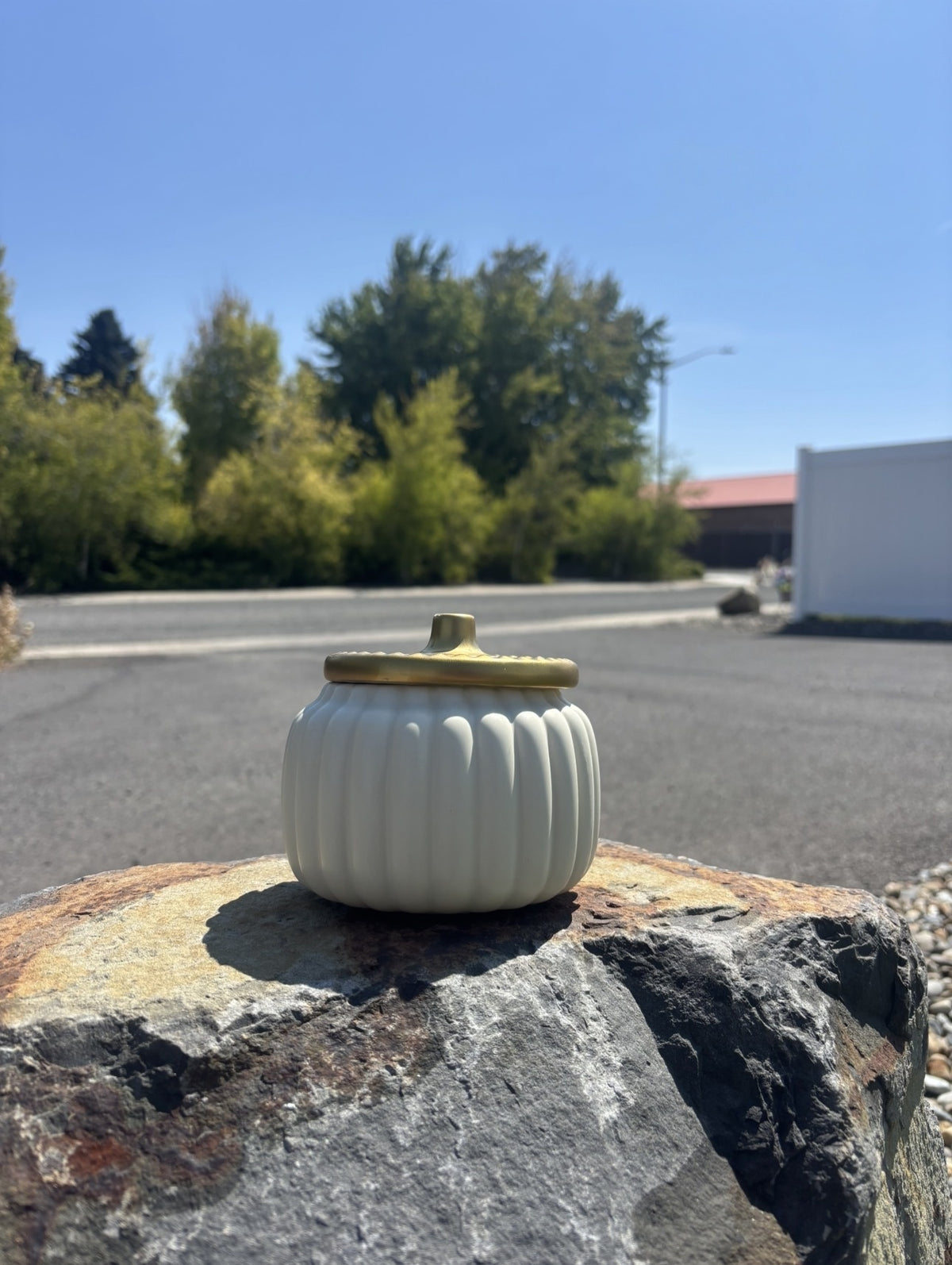 Farmhouse Caramel 🚜 — Hand Poured Soy Kandle