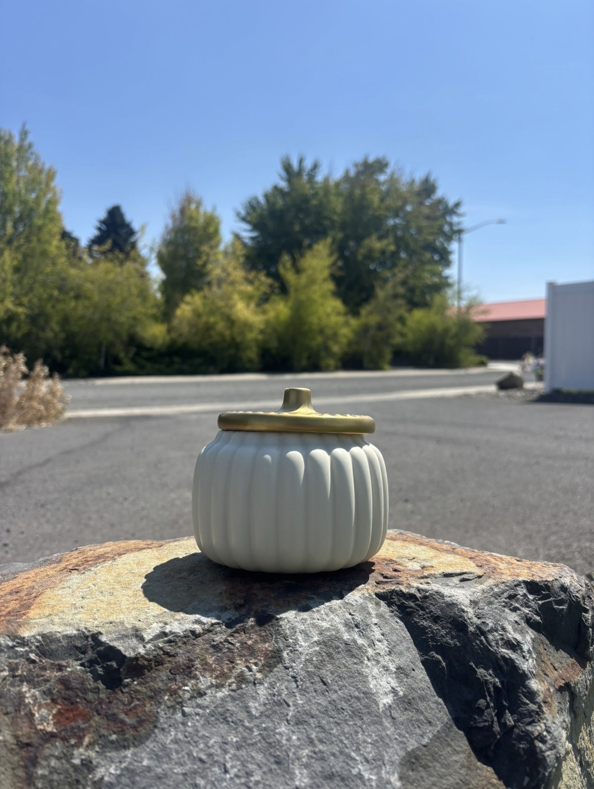 Cozy Fireside Sugar 🪵 — Hand Poured Soy Kandle